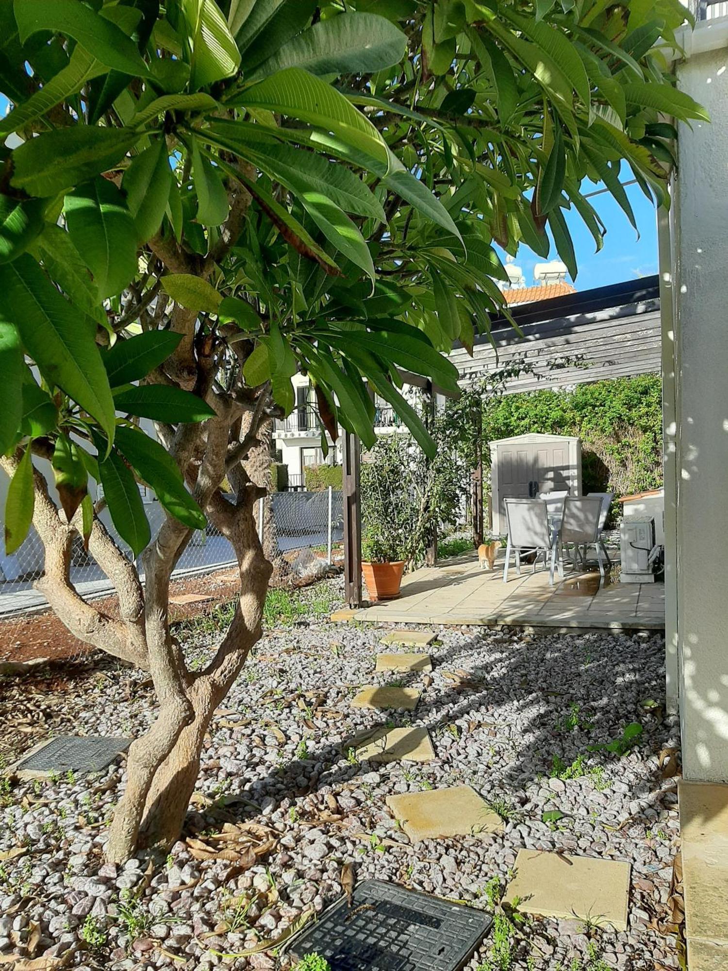 Appartamento H&O Royal Townhouse In Center Paphos Esterno foto